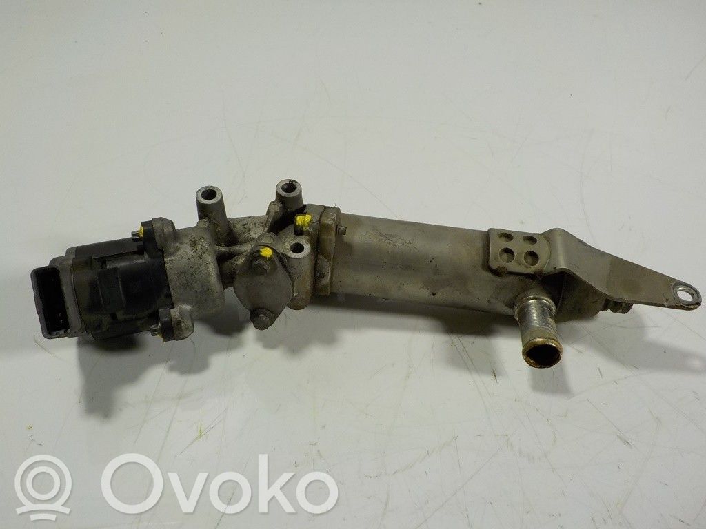 Land Rover Range Rover Sport L320 Supapă EGR 