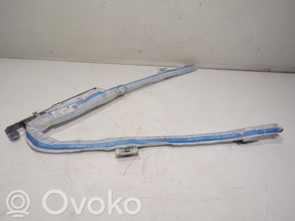 Airbag de la puerta delantera   5F4880741,5F4880741