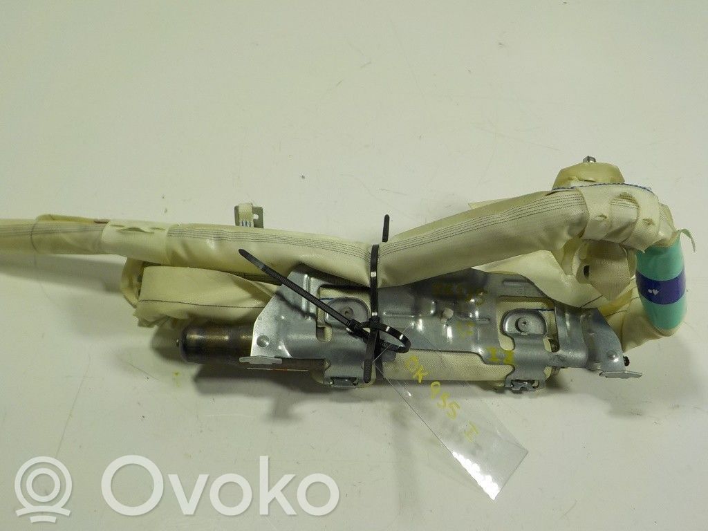 Airbag de la puerta delantera   13251619,13251619