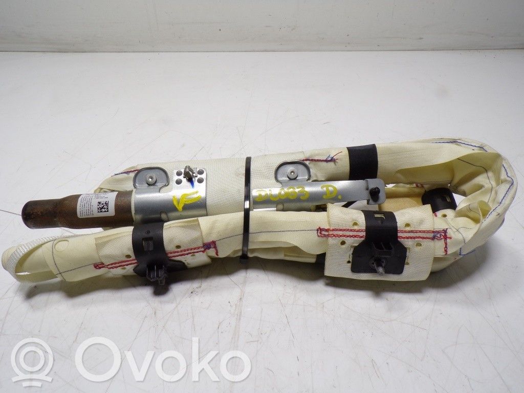 Airbag de la puerta delantera   1764000,1B6291600