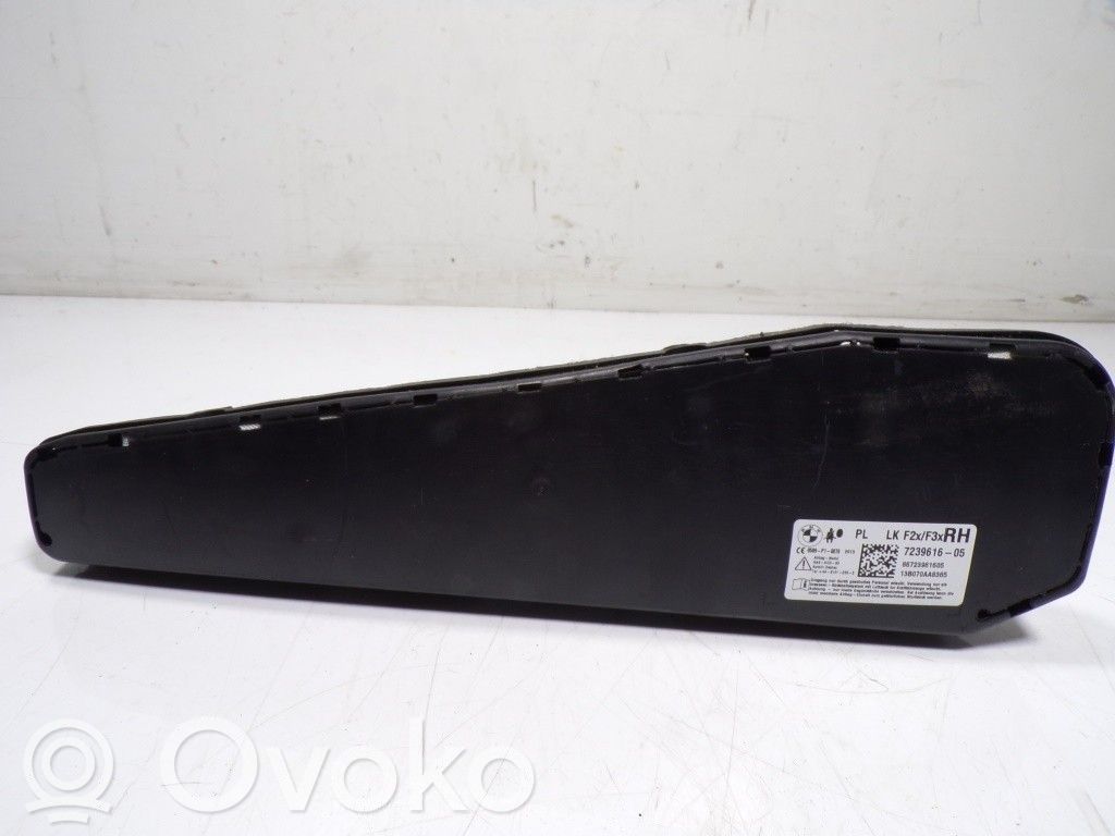 Side airbag   72127239616,723961605