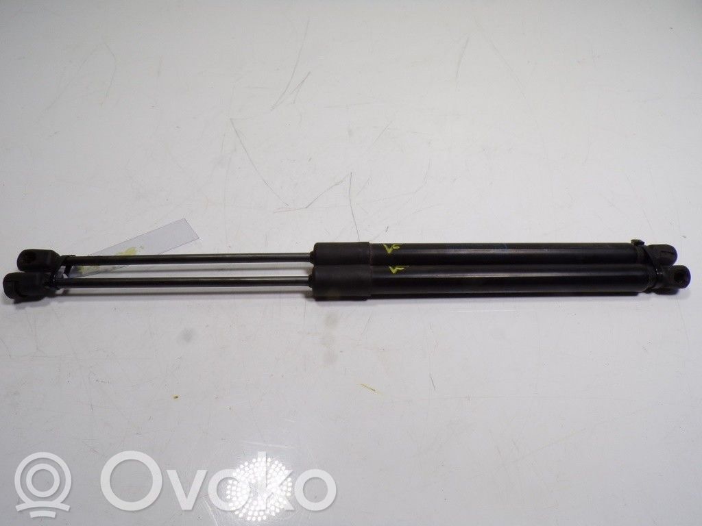 Tailgate/trunk strut/damper   39197491