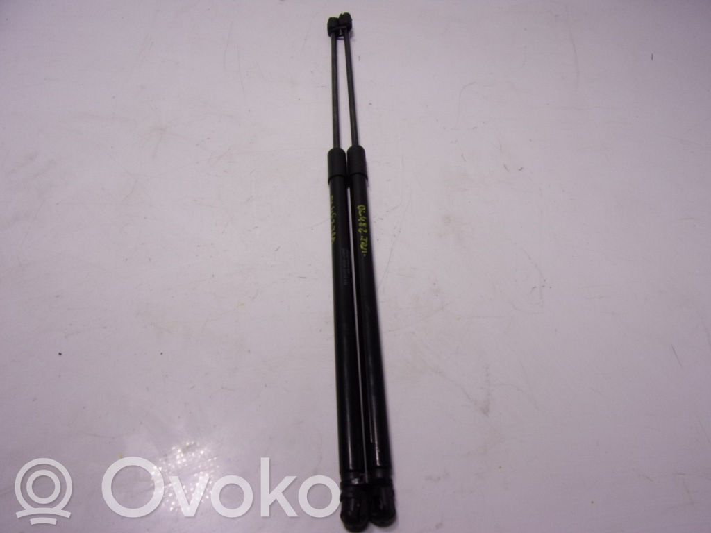 Tailgate/trunk strut/damper   5FE827550A