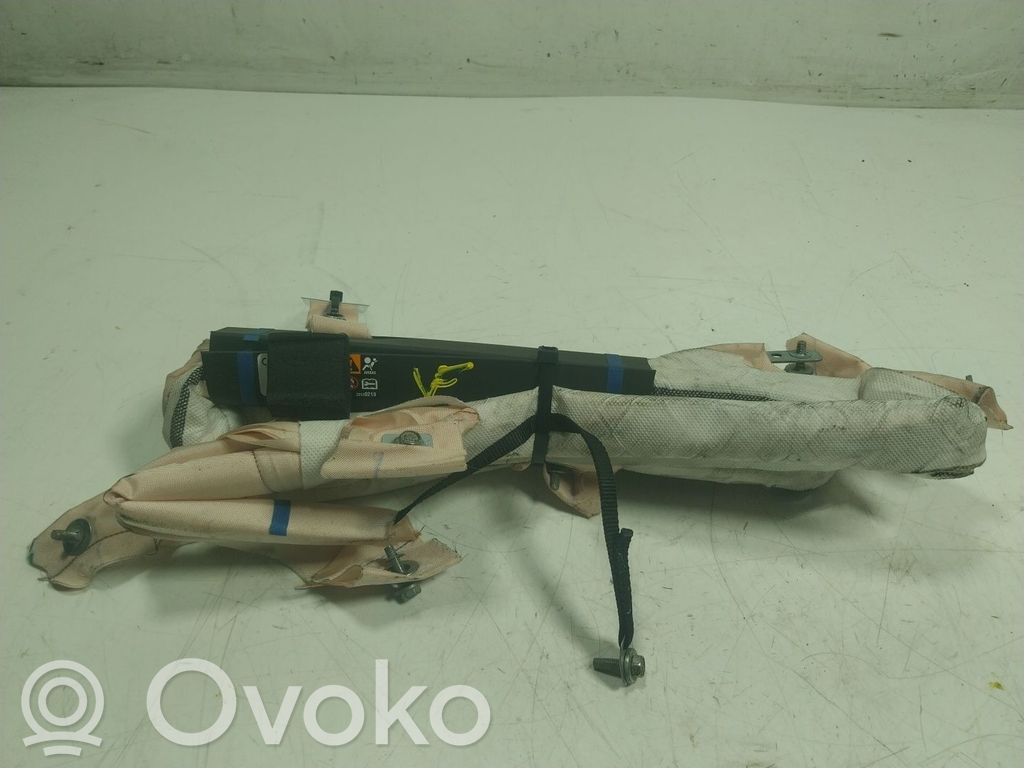 Front door airbag   100526100E