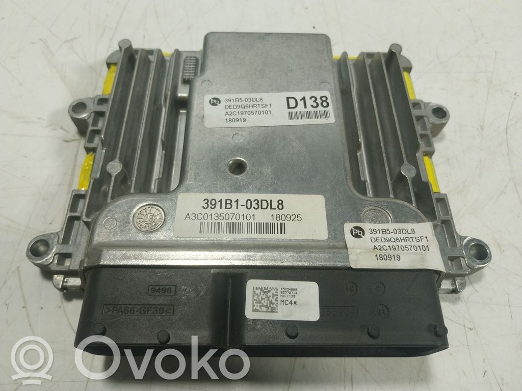 Unidad de control/módulo del motor   391A503DL8,391B503DL8