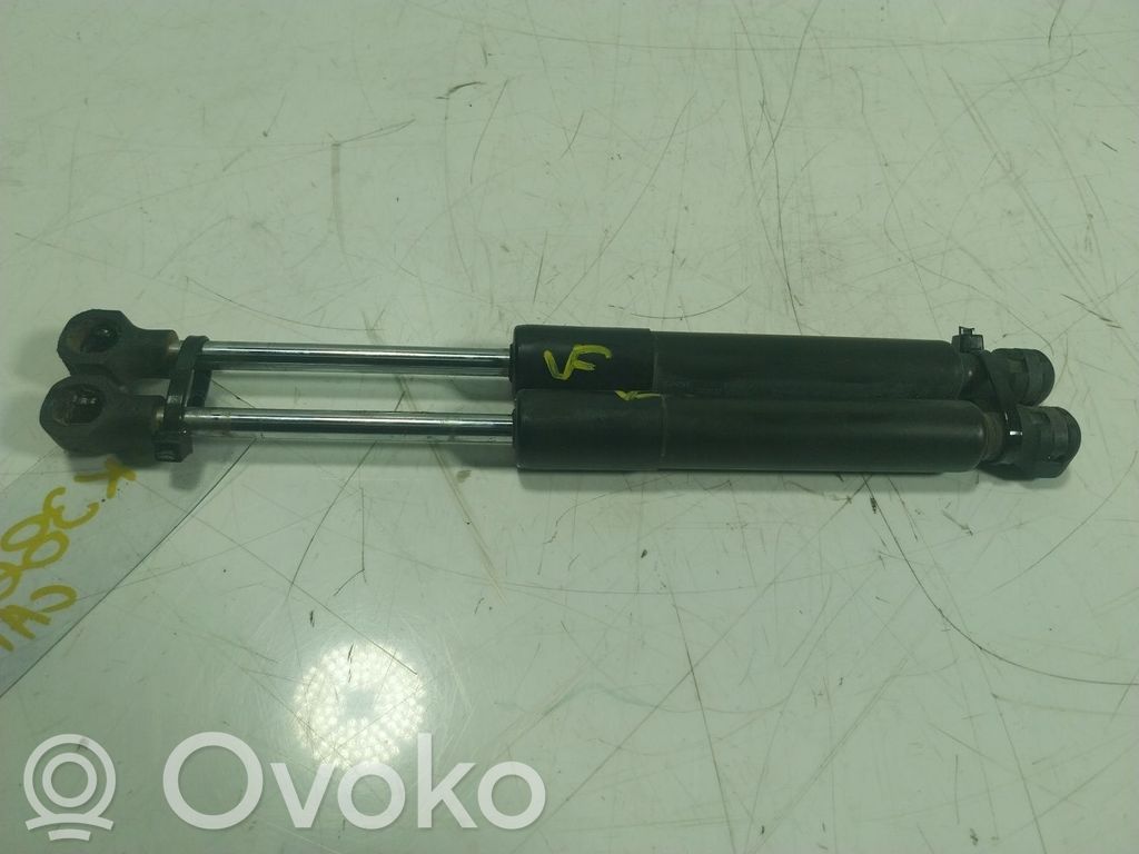 Renault Zoe Ammortizzatore portellone anteriore/cofano