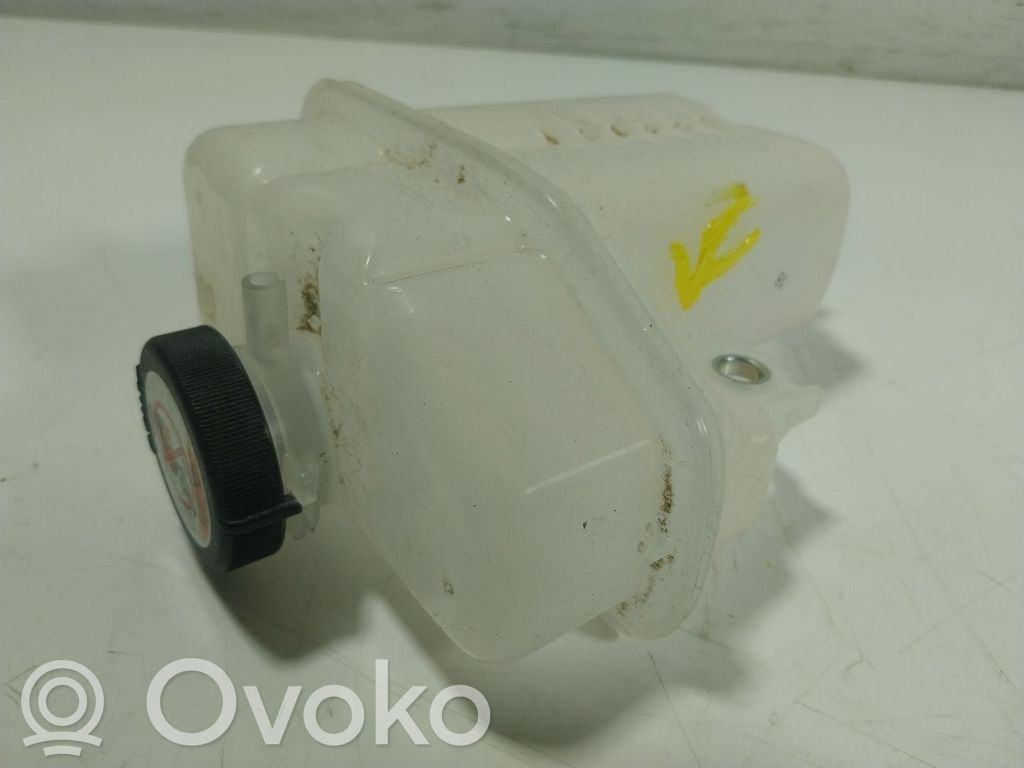 Toyota RAV 4 (XA50) Vas expansiune combustibil 