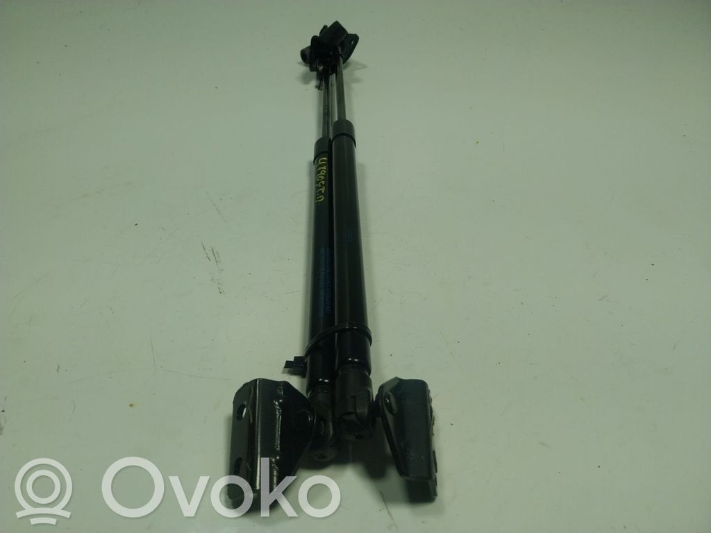 Tailgate/trunk strut/damper   10316252