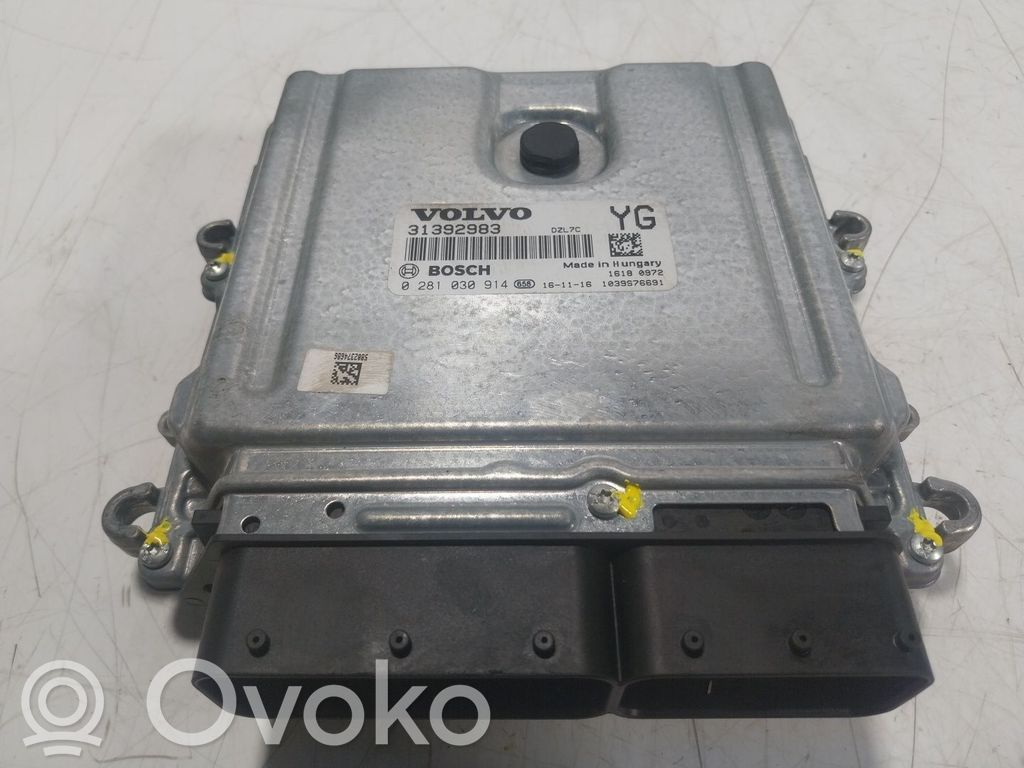 Engine control unit/module   36012608,31392983