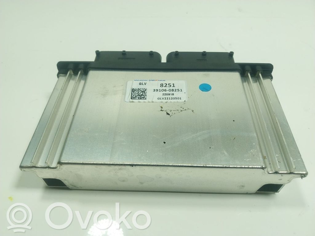 Sterownik / Moduł ECU   3910608251
