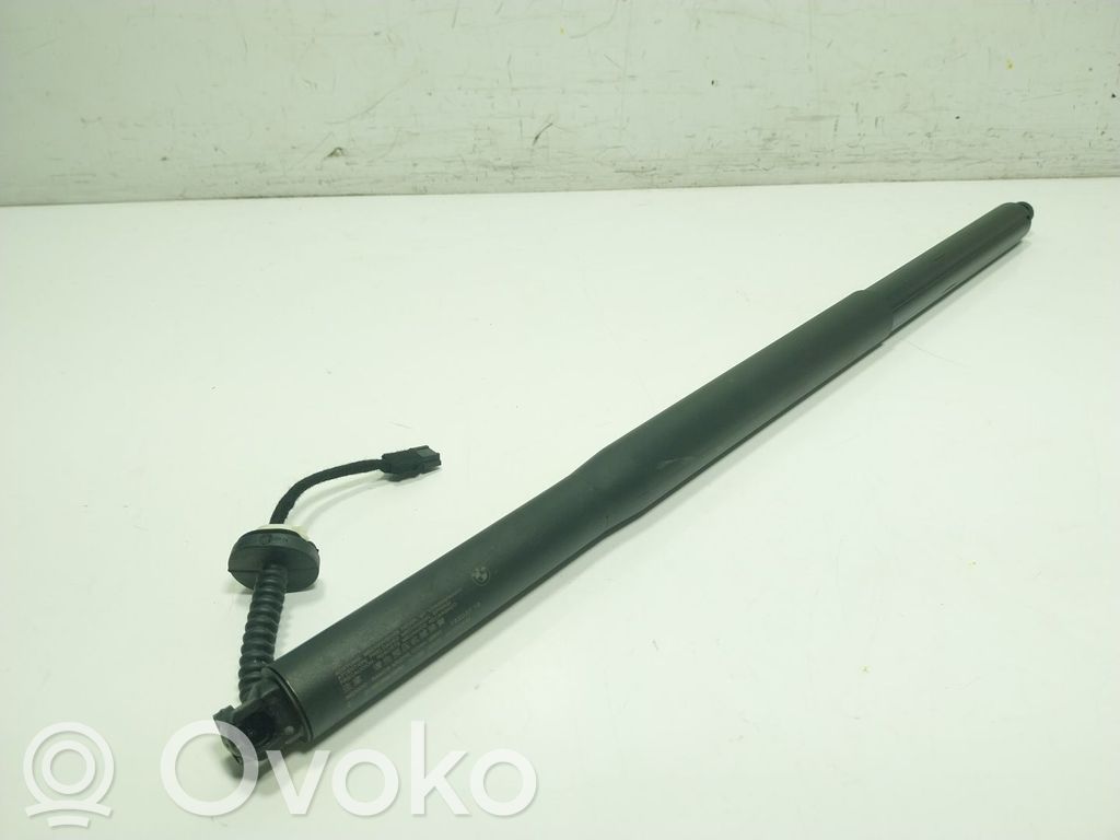 BMW X6 M Ammortizzatore portellone posteriore/bagagliaio 