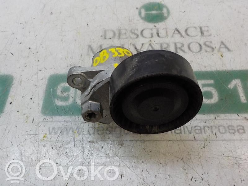 Tendicinghia generatore/alternatore   04E145299N