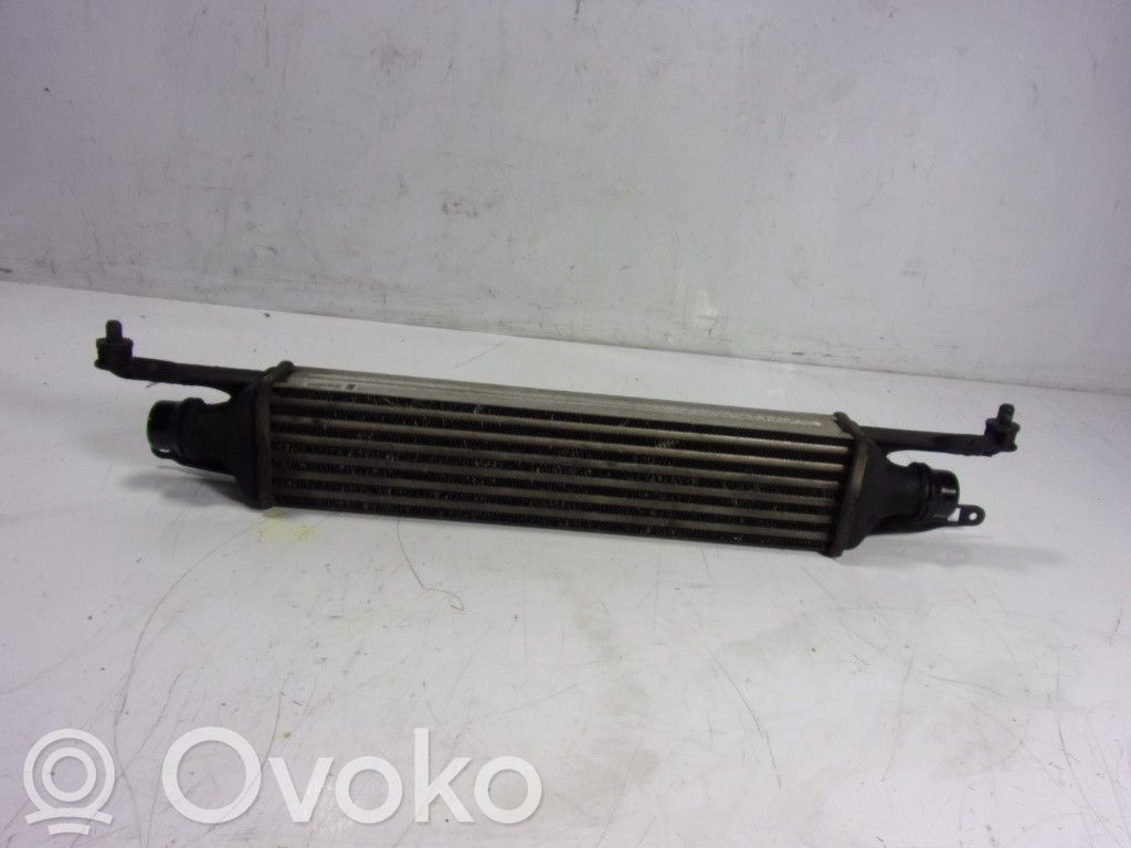 Radiator intercooler   55702194,872051000