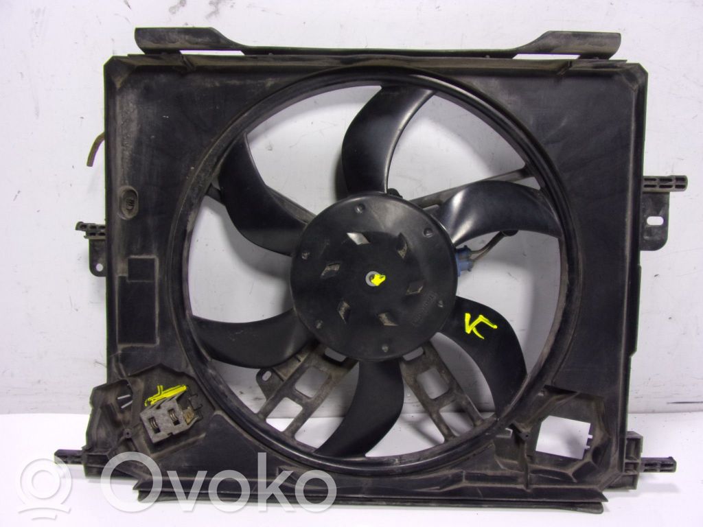 Elektrolüfter   214812232R,214812232R
