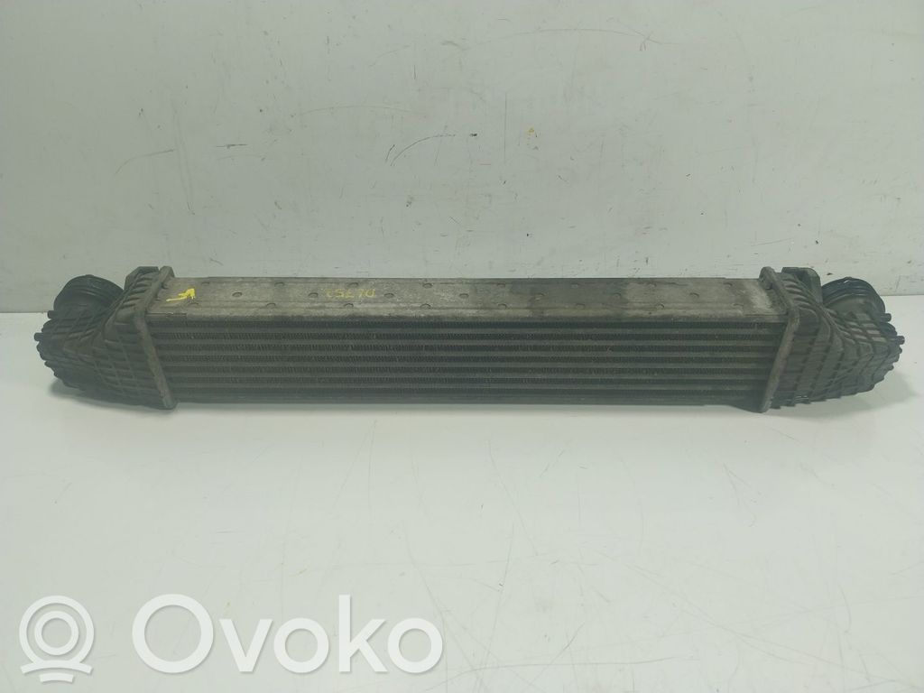 Mercedes-Benz CLS C219 Radiatore intercooler 