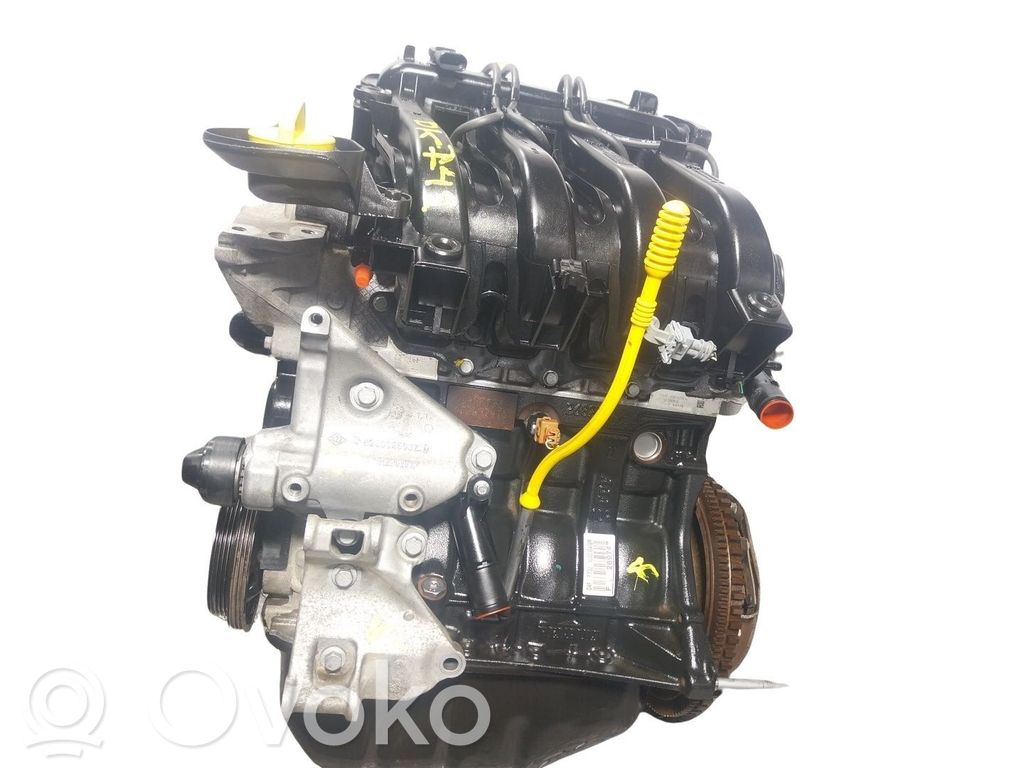 Silnik   6001552227,D4F732