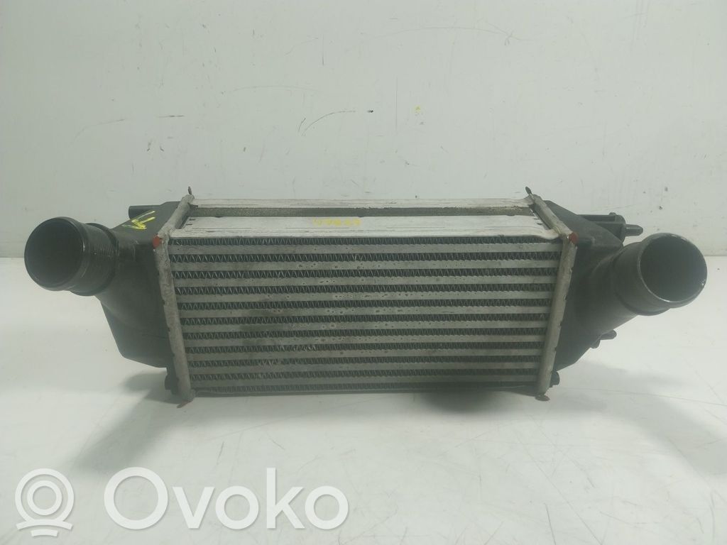 Ford Tourneo Interkūlerio radiatorius 