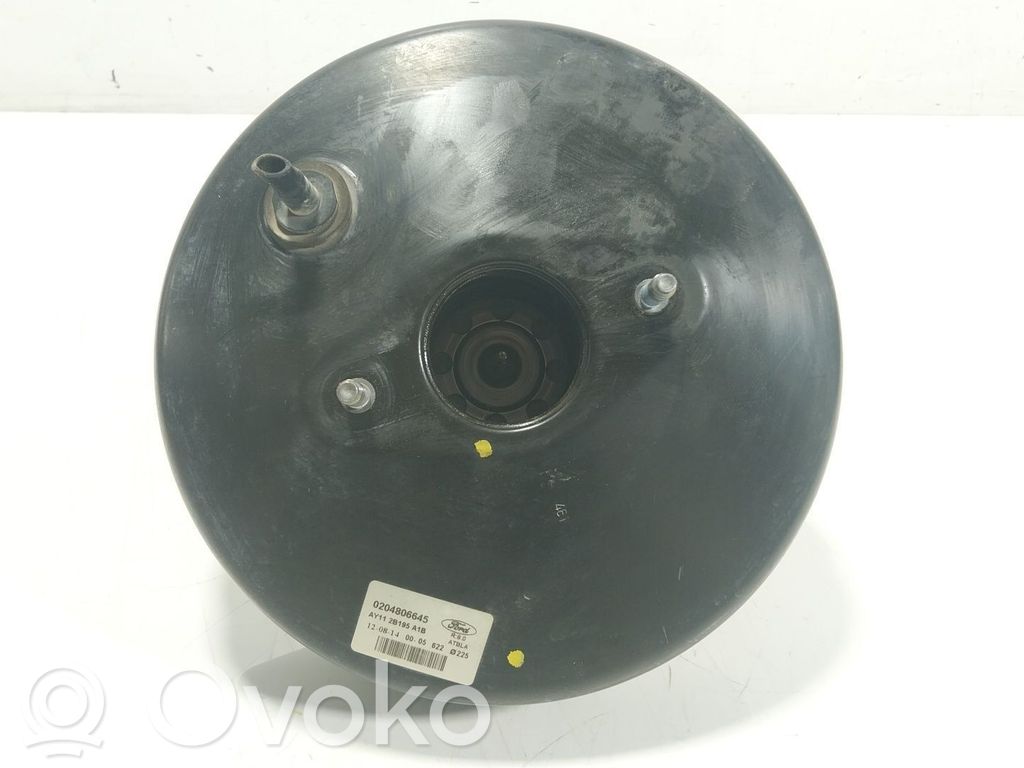 Stabdžių vakuumo pūslė   AY112B195A1B