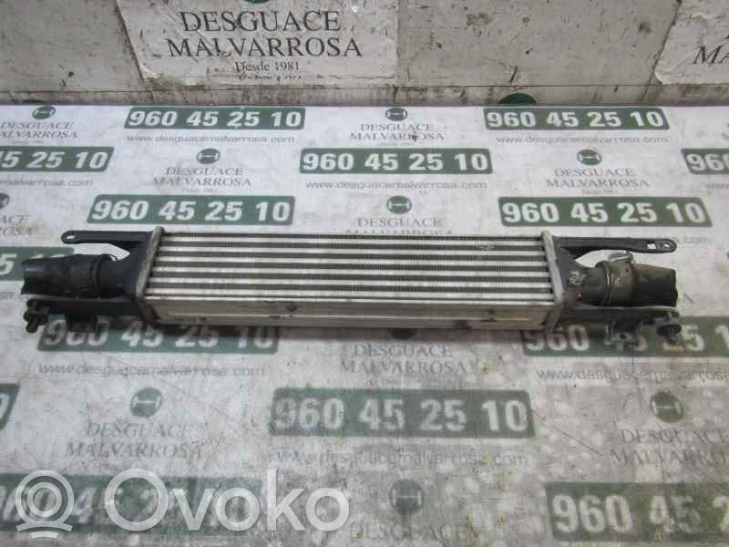 Chłodnica powietrza doładowującego / Intercooler