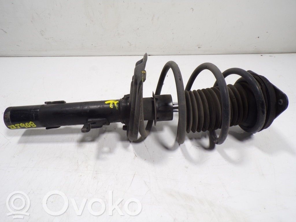 Stoßdämpfer Federbein   543020117R,1803236
