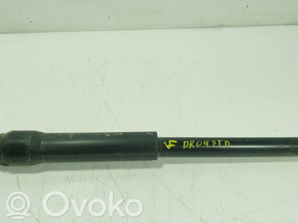 Toyota Aygo AB40 Amortizor spate 