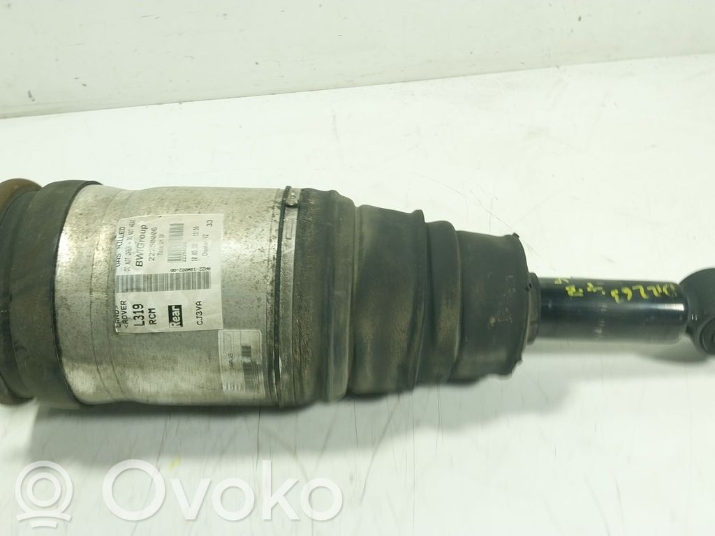 Stoßdämpfer hinten   LR014195,22250006