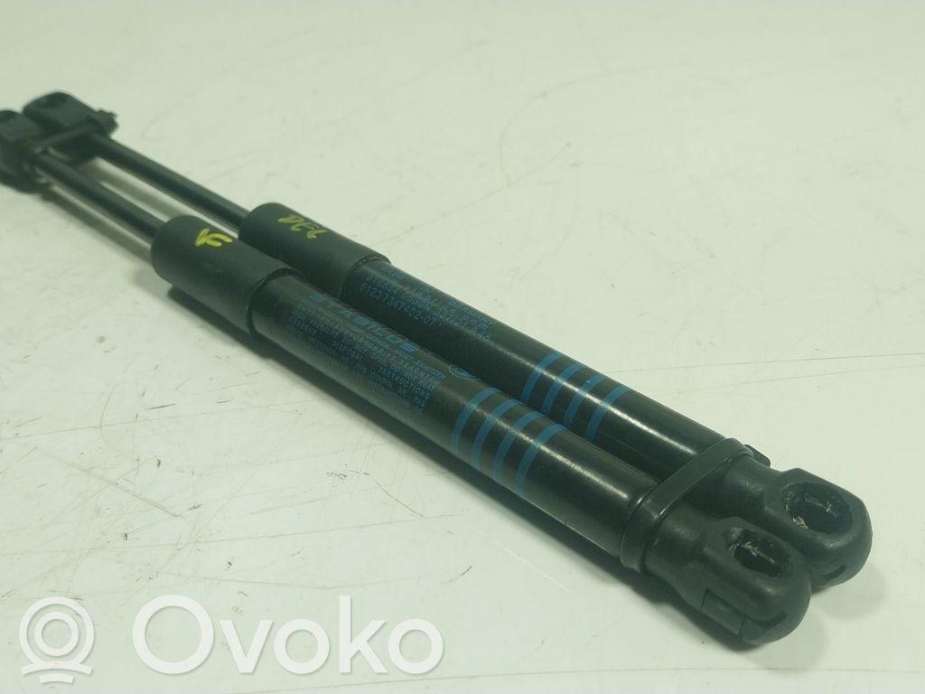 BMW 5 G30 G31 G38 Ammortizzatore portellone anteriore/cofano