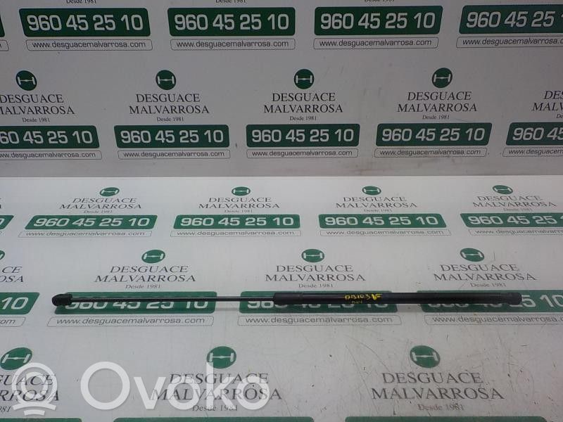 Opel Insignia A Ammortizzatore portellone anteriore/cofano 