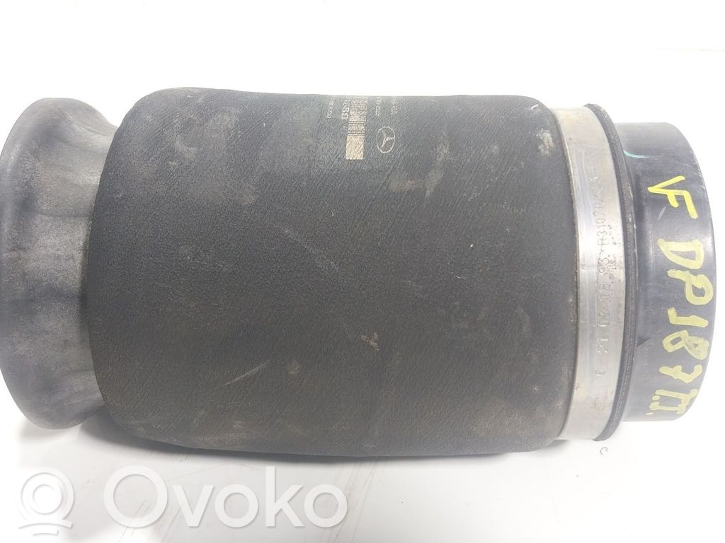 Front coil spring   A1663200325,A1663200325
