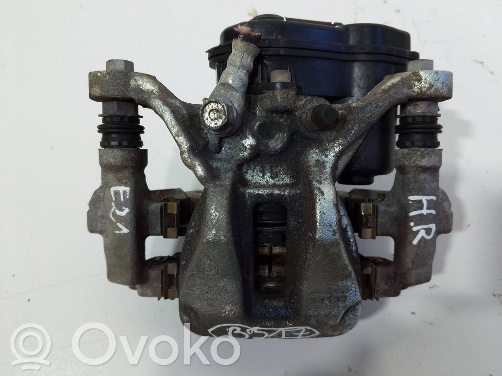Takajarrusatula   F394