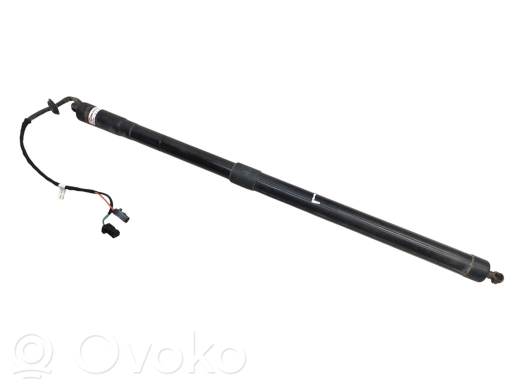 Tailgate strut   9804069880