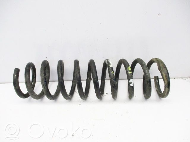 Muelle espiral trasero