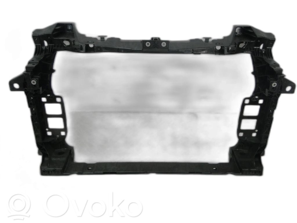 Audi Q7 4L Priekinė kėbulo dalis 