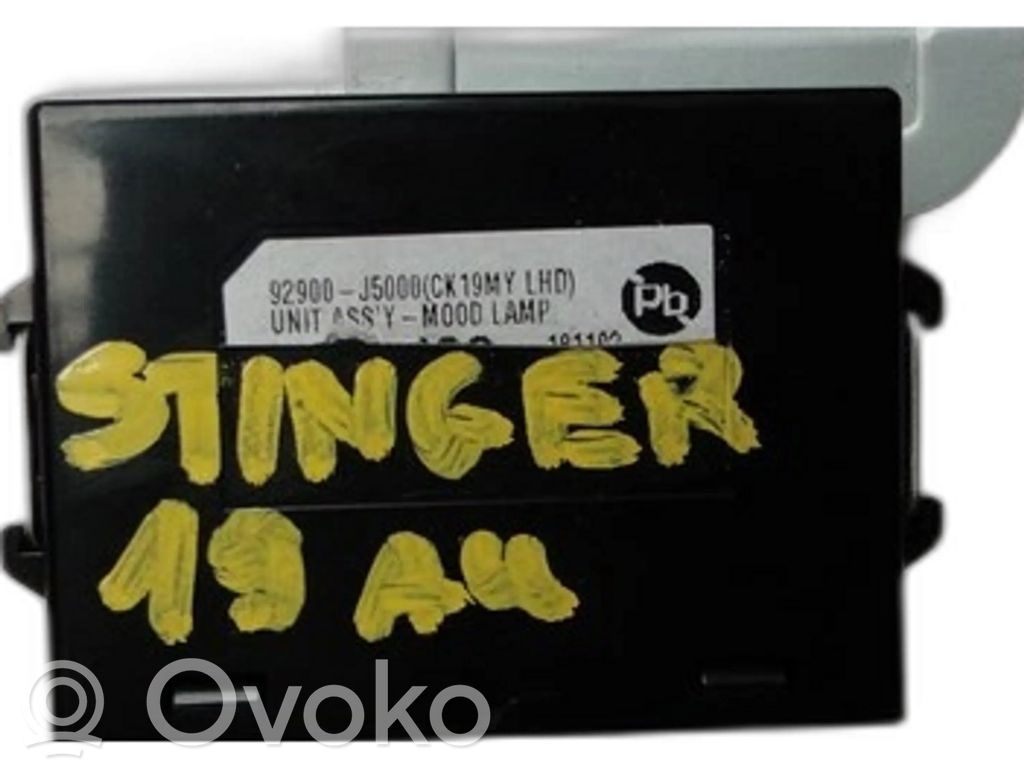 KIA Stinger Other control units/modules 
