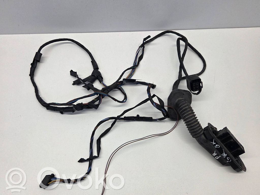 BMW 5 E60 E61 Cableado de puerta trasera 