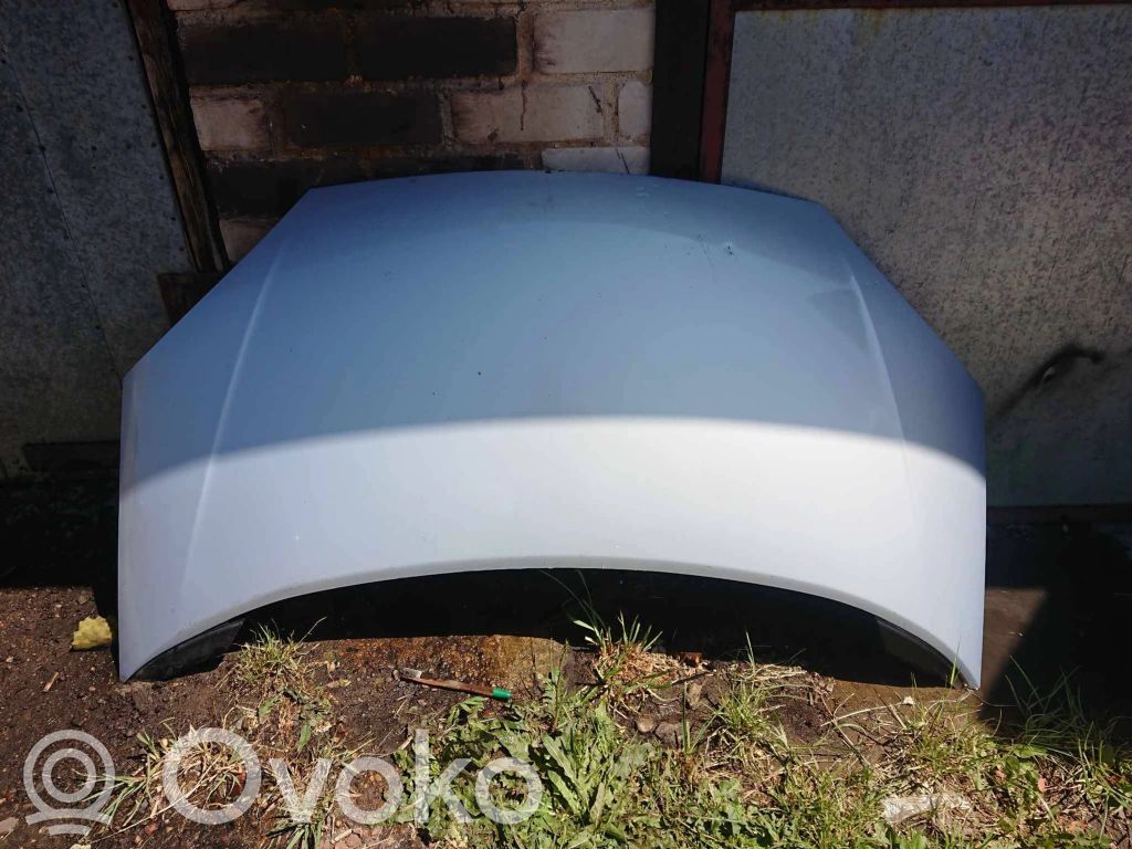 Motorhaube   S0401