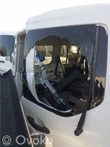 Ford Transit -  Tourneo Connect Galinis dangtis (bagažinės) 