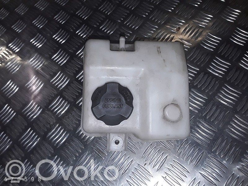 Hyundai i40 Serbatoio di compensazione del liquido refrigerante/vaschetta