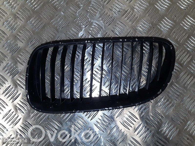Front bumper lower grill   51137254971