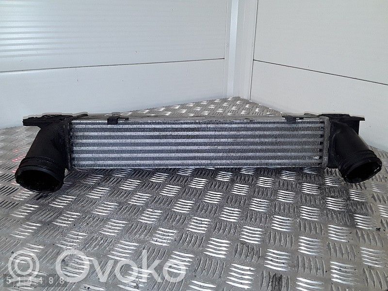 Intercooler radiator   3296399