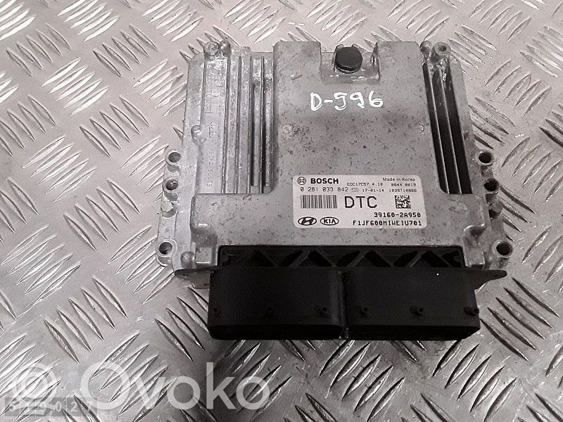 Unitate/modul de control motor   391602A950,0281033842
