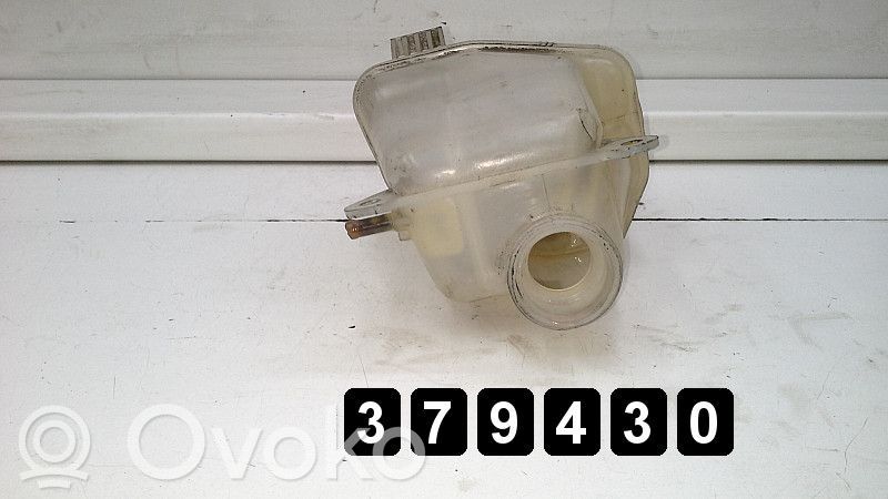 Ausgleichsbehälter Kühlwasser