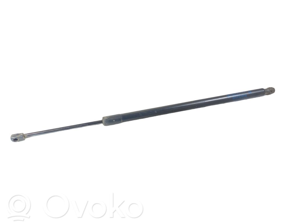 Dodge Durango Tailgate/trunk strut/damper 