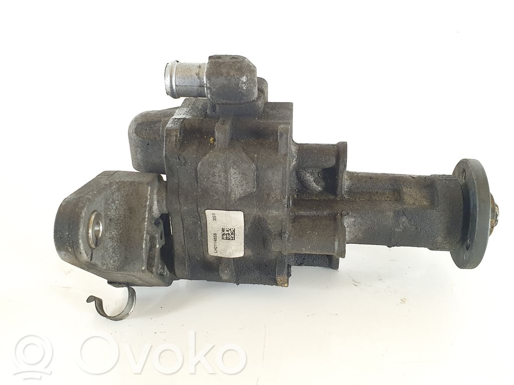 Power steering pump   679646202