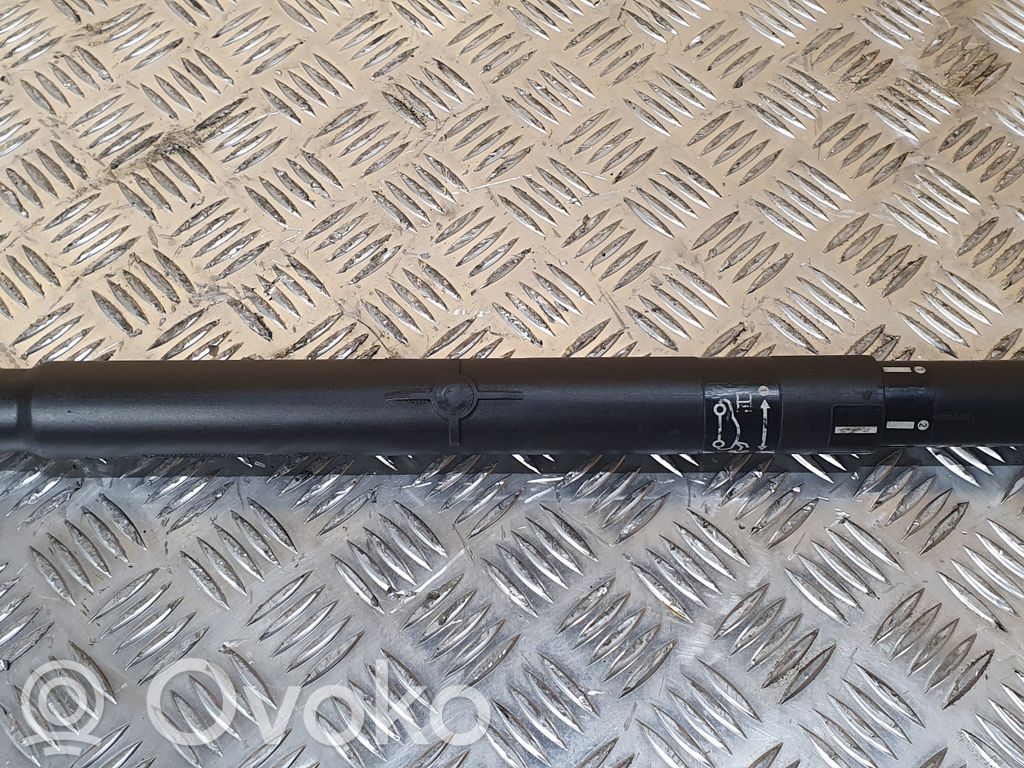 BMW X6 E71 Tailgate/trunk strut/damper 
