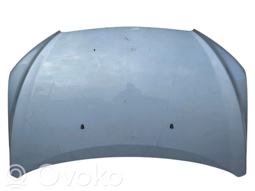 Dzinēja pārsegs (vāks)   AV075