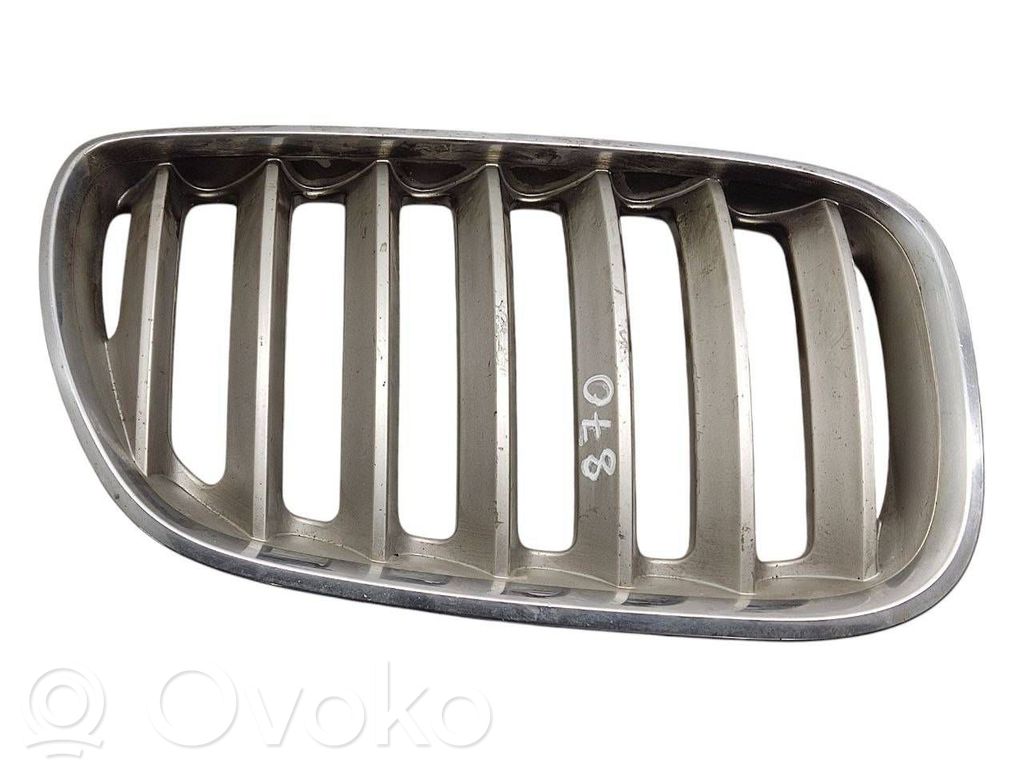 BMW X5 E53 Front bumper upper radiator grill 