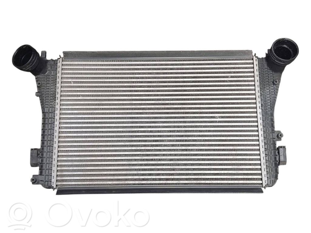 Volkswagen PASSAT B6 Interkūlerio radiatorius 