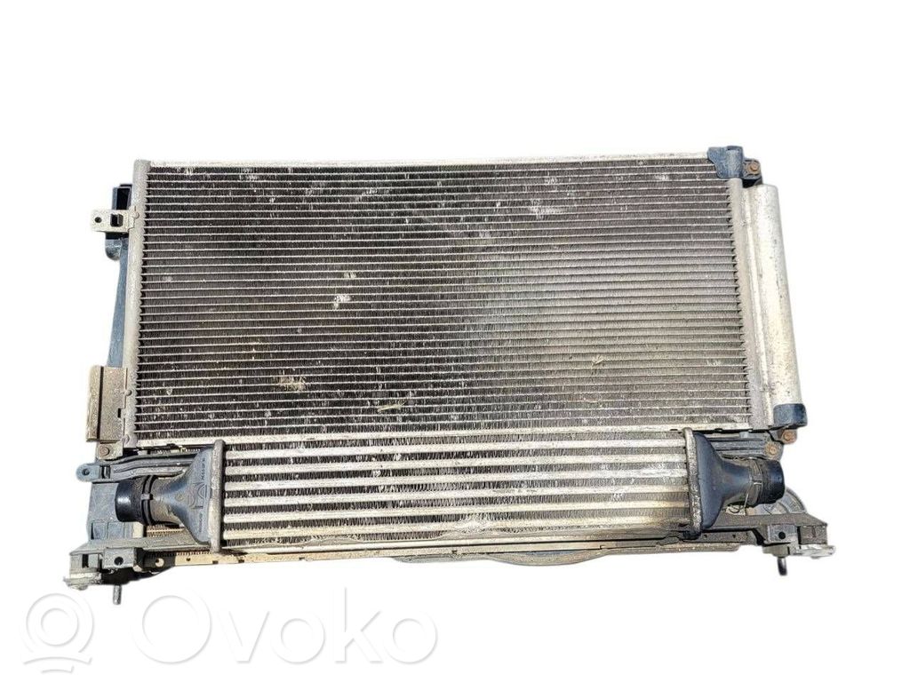 Radiator set   8A1500000,877600200,440926702,44092670,466118570,878060010