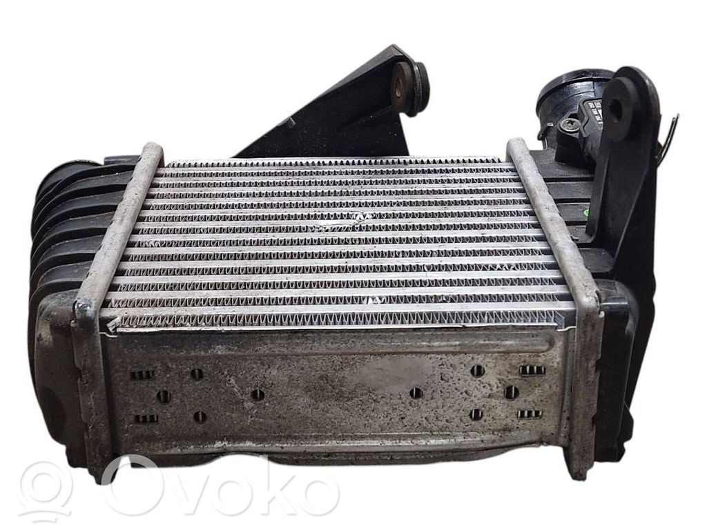 Volkswagen Polo IV 9N3 Radiator intercooler 